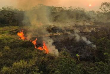 COLUNA: Confira regras de uso controlado do fogo na Amazônia