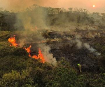 COLUNA: Confira regras de uso controlado do fogo na Amazônia